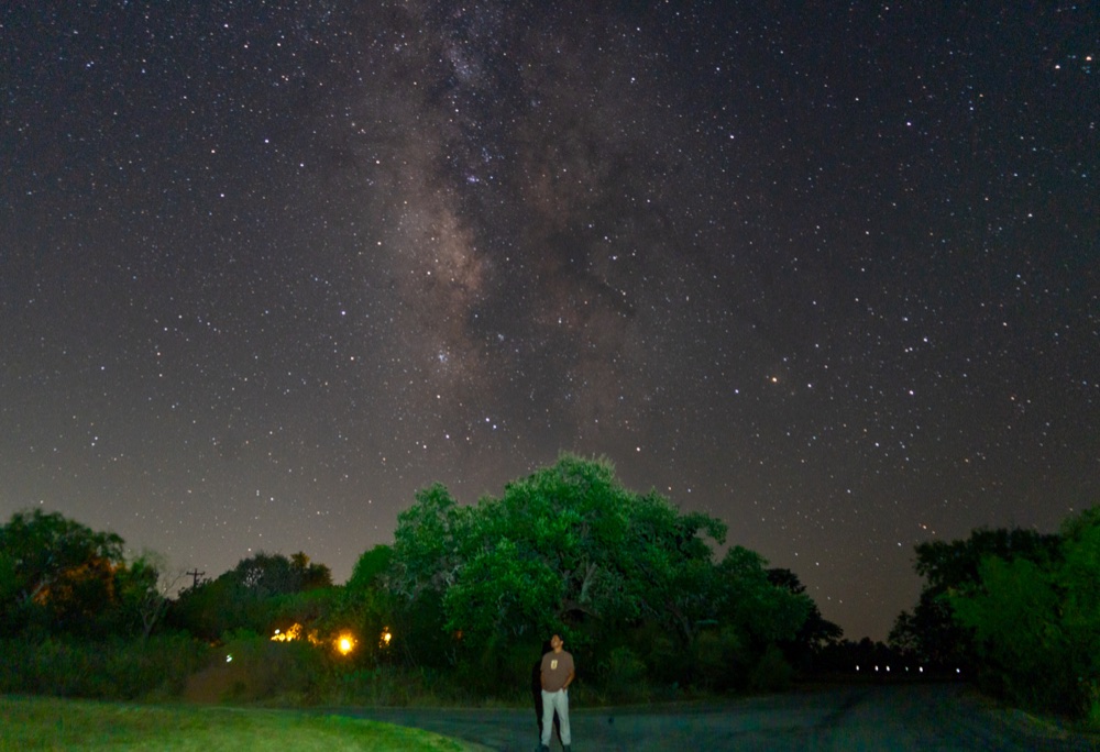 A person beneath a star-filled night sky, with trees along the horizon.